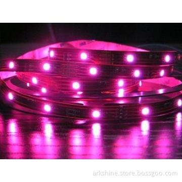 Waterproof IP68 Pink 5050 Flexible LED Strip Lights